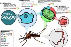 延续几千年的“人蚊战争”，人类都用过哪些手段？图片