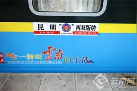 “象往号”云南省内环线旅游列车开进普洱景迈山图片
