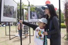 万物共生·和美永续！青岛市举办国际生物多样性日宣传活动图片