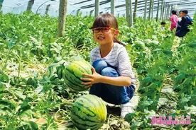 感知山东记者谈丨“文旅融合+文化两创” 为济阳发展注入新动能图片