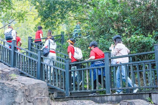 2025中国南酸枣之乡旅游音乐文化节暨齐云山登山节圆满收官