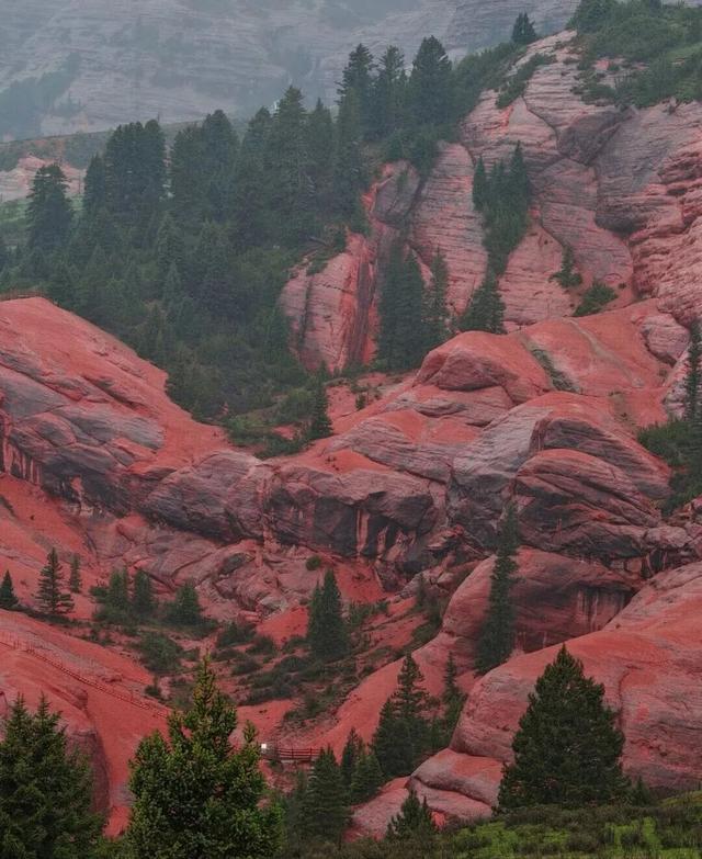 今天没有上班，也没有错过隐藏款新龙红山