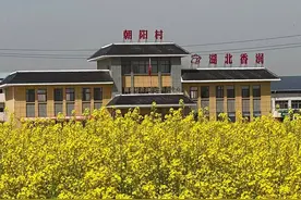 孝感市孝南区：打好“乡贤+”组合牌，绘就和美乡村新画卷图片