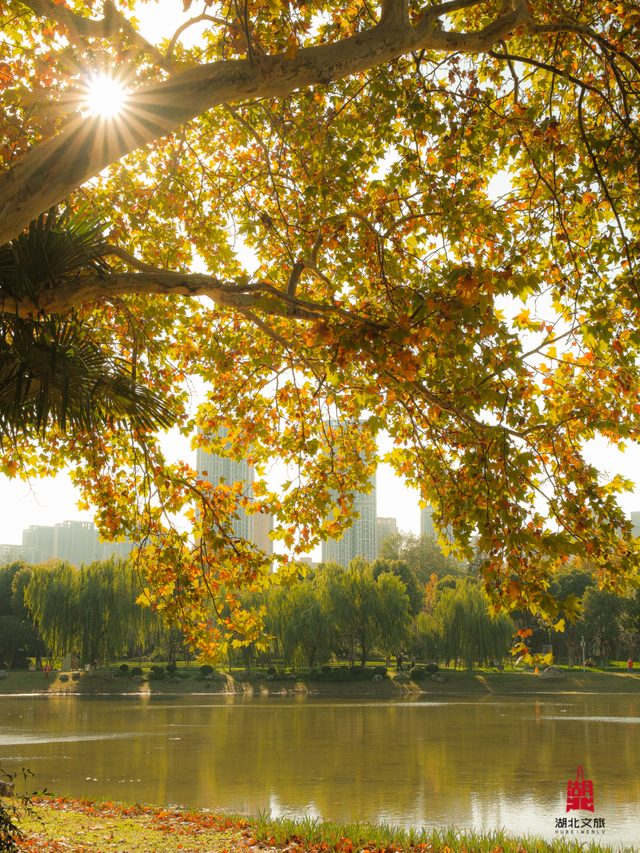 寒潮倒计时！再不来就迟了