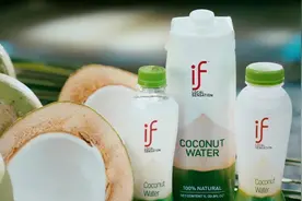 年卖11亿，IF椰子水母公司要去香港IPO了图片