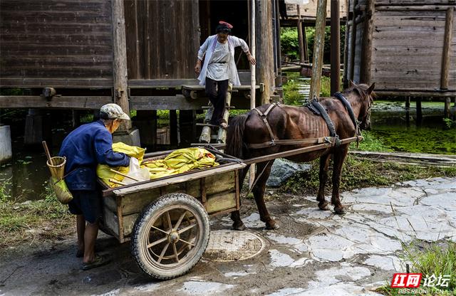 跟着网友游贵州丨黄岗侗寨：在深山邂逅世界级乡村魅力