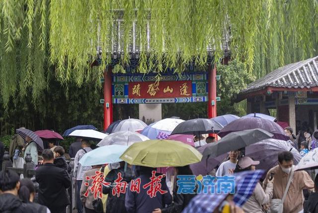 一年四季 泉在济南丨秋雨添活力，济南泉水焕发新生机
