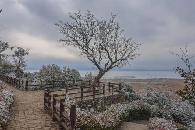 冬日限定！贵州的雾凇秘境藏不住了