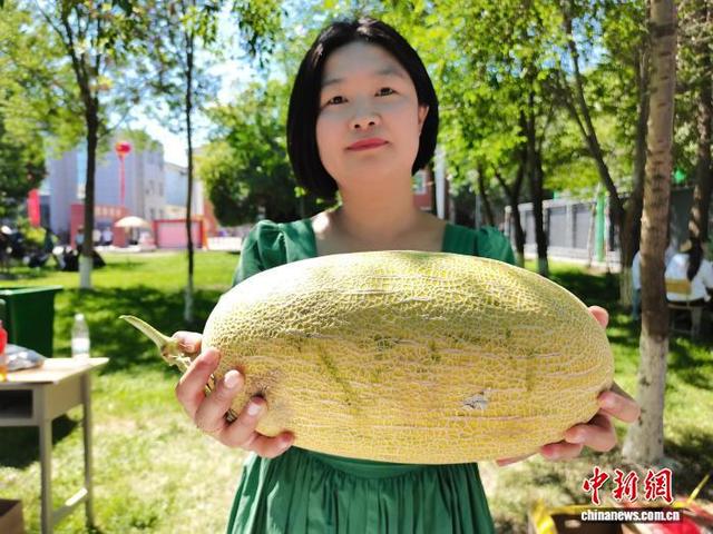 “中国甜瓜之乡”103团第十一届甜瓜文化旅游季举办