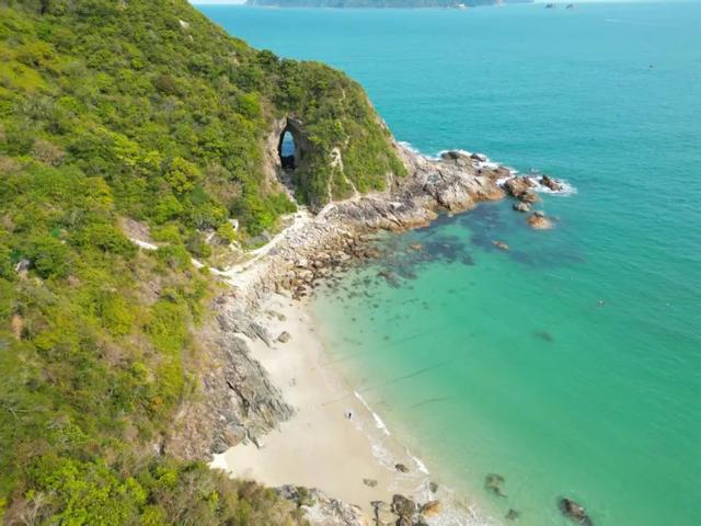 12月起，免费开放！深圳知名景区宣布