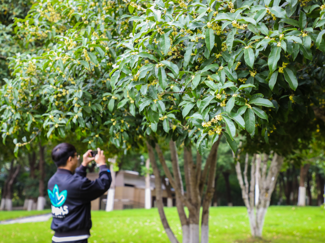 武进绝美打卡地！在嘉泽、湖塘、雪堰、前黄……