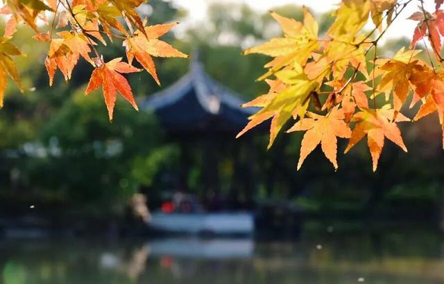 崇明，把风雅“亭”在了时光里