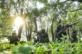 来无影去无踪，一枪毙敌！图片
