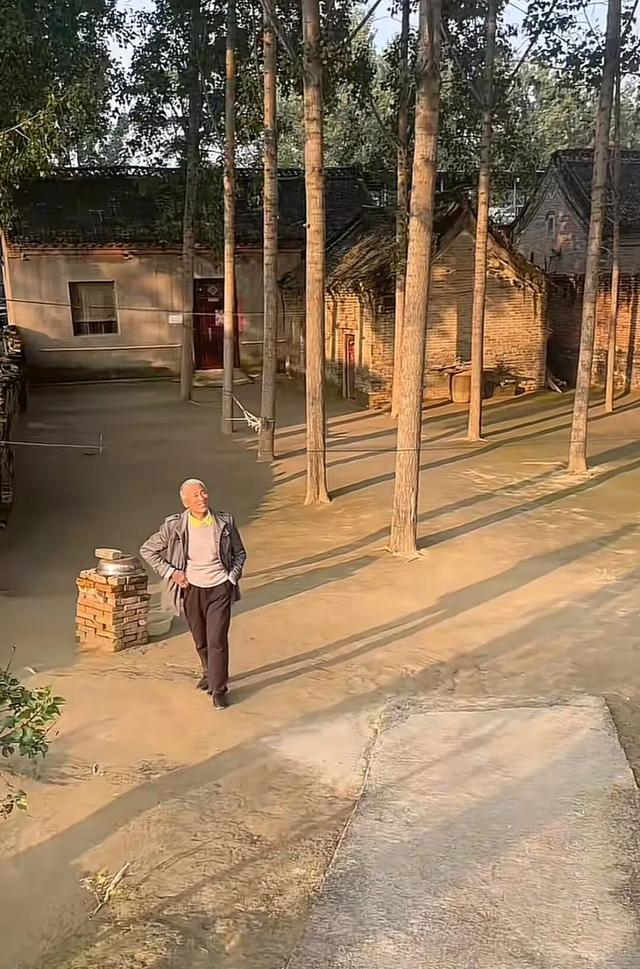 河南一大爷的院子因干净成网红打卡地，网友：像极了小时候家的样子，想脱鞋光脚丫子走