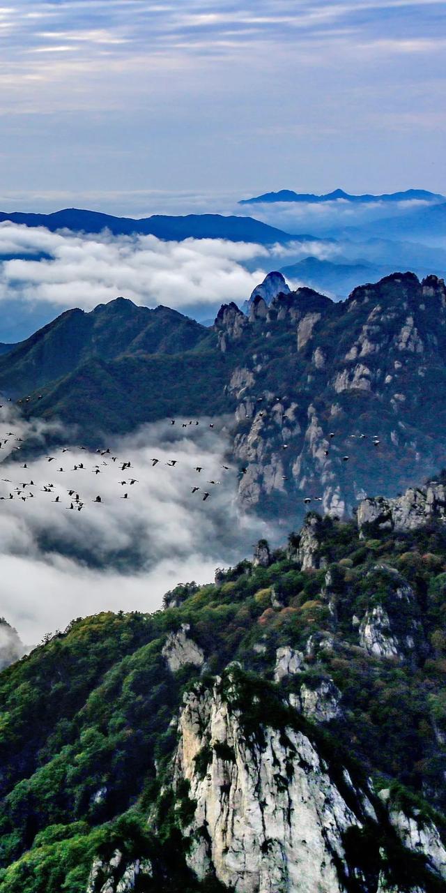 豫见两山 绿色答卷丨生态之旅——打卡“中原肺叶”栾川县