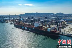 地中海航运在大连港开通“大连--欧洲、大连--地中海”2条集装箱航线图片