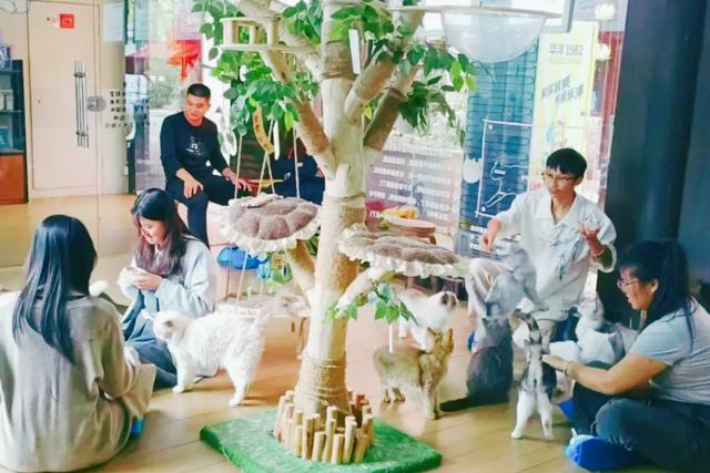 我们的节日·七夕 | 盐城东台：和重要的人，在西溪穿越千年~
