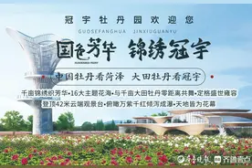 冠宇牡丹园招商盛启 |共赴千亩牡丹花海“音乐+文化”春日盛宴图片