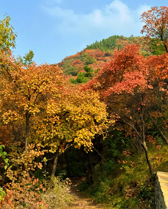 人少！景美！郑州周边9个超适合徒步爬山的好去处→