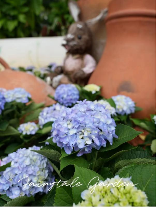 全网一致认定：最短的秋天，才是最贵的奢侈品