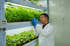 科大硅谷奏起科创“交响乐”图片