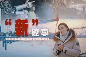 探访“新”辽宁丨最像人的机器人何时走进家庭?图片