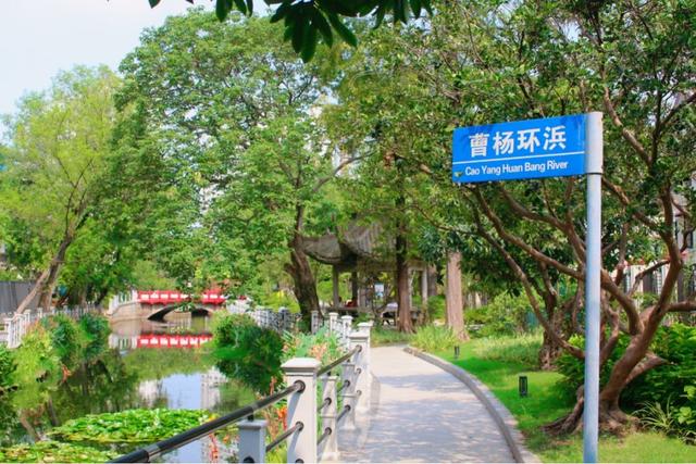 邂逅曹杨CityWalk绿色路线，解锁家门口的“低碳密码”