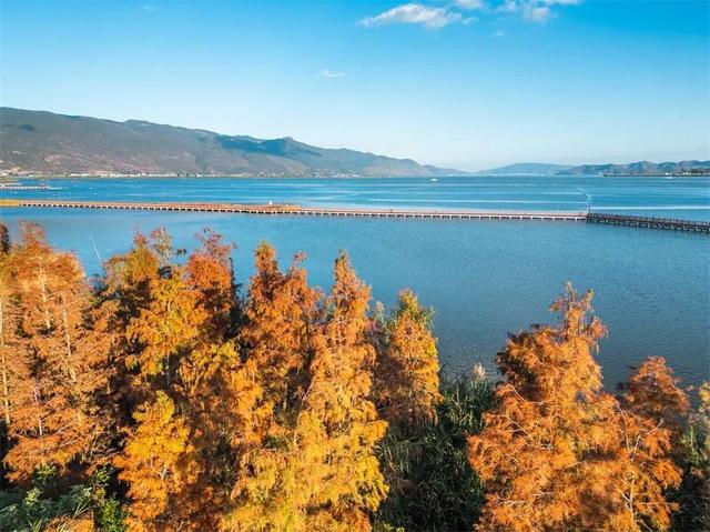 元旦游红河 | 乐作狂欢、烟花瀑布秀，元旦假期也太好玩了吧！