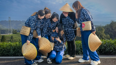 持续火爆！名山区民宿“双节档”人气飙升