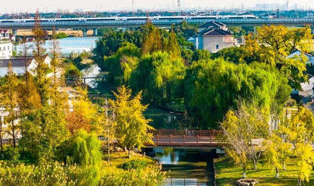 “美神”降临！太仓限定秋日美景，真的“杀”疯了！