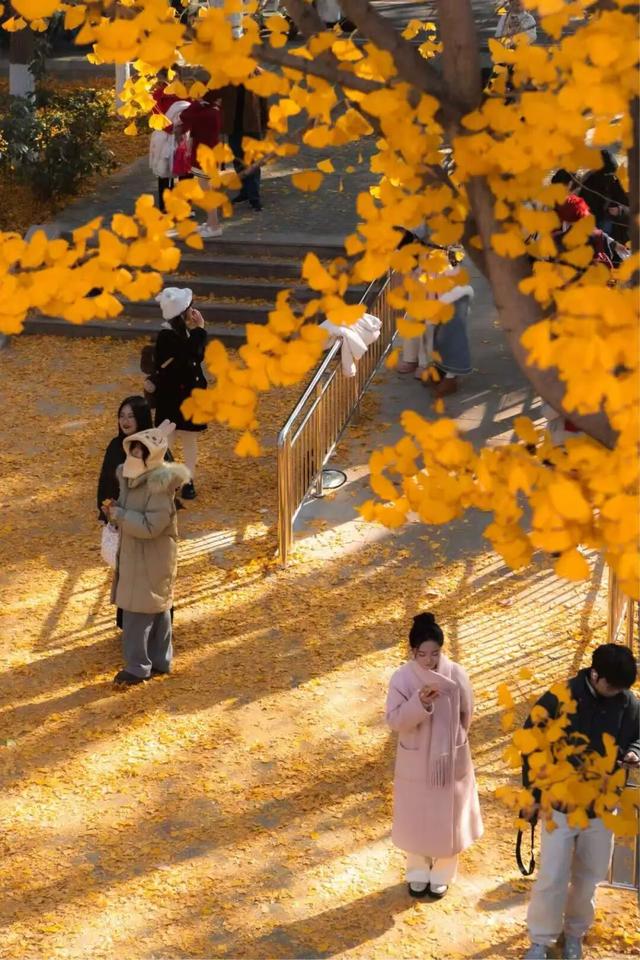 限时绝美！年度顶流！