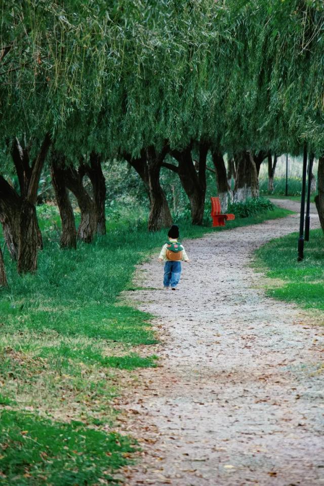 来西山区这些宝藏公园，感受治愈秋色