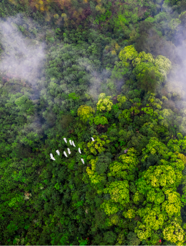 浙江这两条线路入选中国公路学会“2025年度自驾游精品线路”，一起来关注！