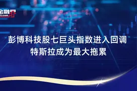 彭博科技股七巨头指数进入回调 特斯拉成为最大拖累视频封面