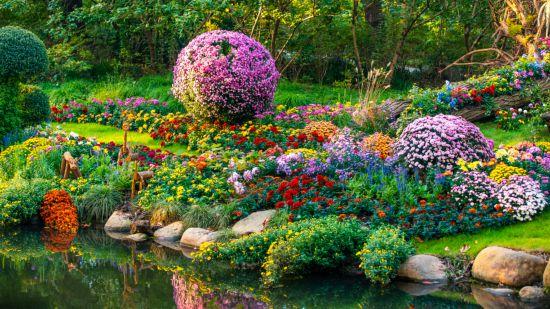 上海秋日浪漫天花板！这些花海美到让人心醉