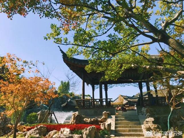 这个元旦假期，把时光“浪费”在秦淮最美的园子里~