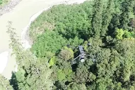 中国有多少棵树?花了十年数清楚了，约1426亿棵，相当于人均百棵图片