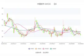 中国软件：2024年上半年亏损2.73亿元图片