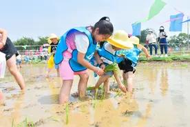 黄鹤楼的诗你娃背会了吗？“六一”还有这些玩法任你遛娃图片