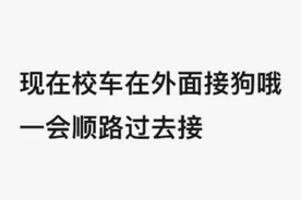 为安心工作，有年轻人送狗子上“幼儿园”了图片