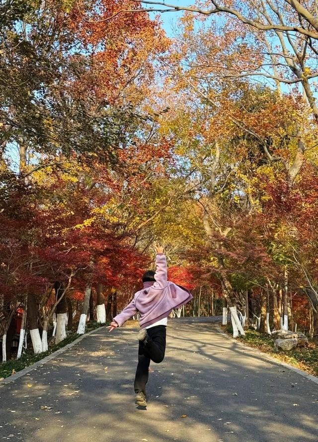 中大路 “红” 了！本周 C 位遛弯地预定！