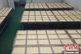“新农人”马燕青的致富实践：老手艺变身新产业图片