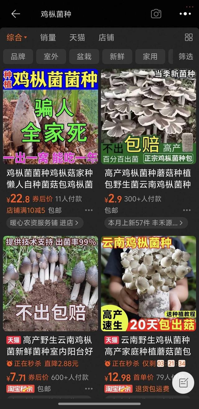 农妇网购“鸡枞菌种”致中毒 涉事店铺所属平台已下架所有“同款”商品