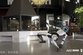 人形机器人扎堆炫技，有人翻车，然后呢？能否倒逼行业发展图片