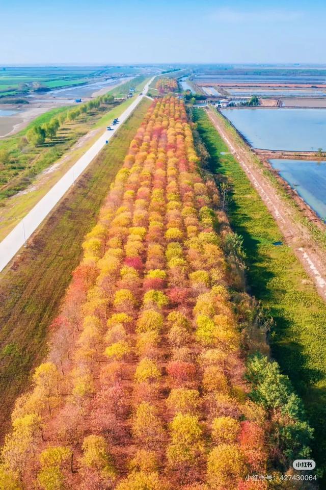 明天放晴！一口气3个好消息