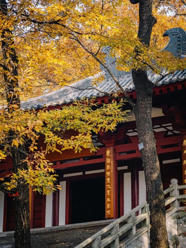 合肥的秋天，不基础