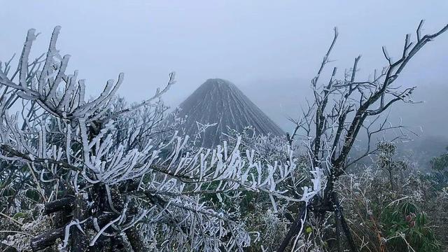 美到词穷！郴州首场雾凇惊艳上线