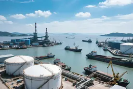 舟山首单大宗领域信用险落地 为大宗商品贸易“安全链”补上关键一环图片