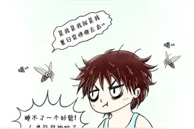 咬你的蚊子变多了？和天气气候有关系吗？ | 漫气象图片