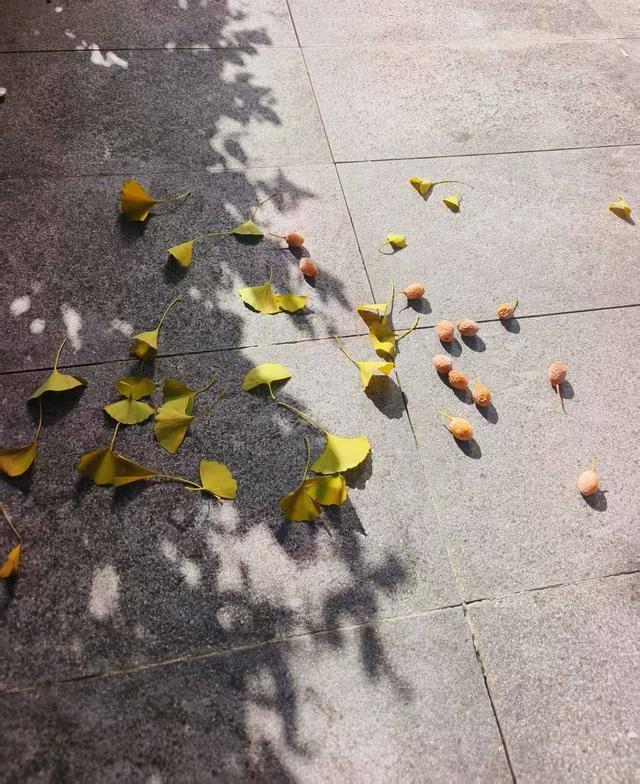 秋绪与远方